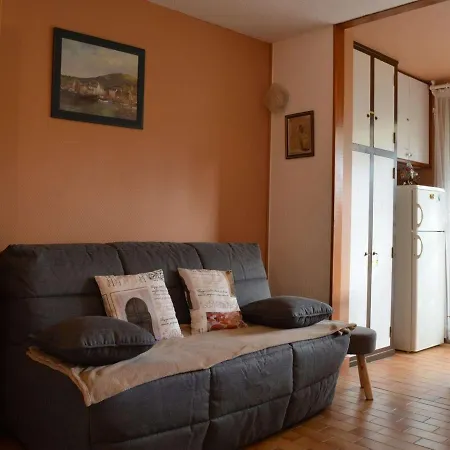 Studio/cabine 4 Pers. Avec Piscine, Parking Prive, Proche Et Commerces - - Fr-1-225-23 *